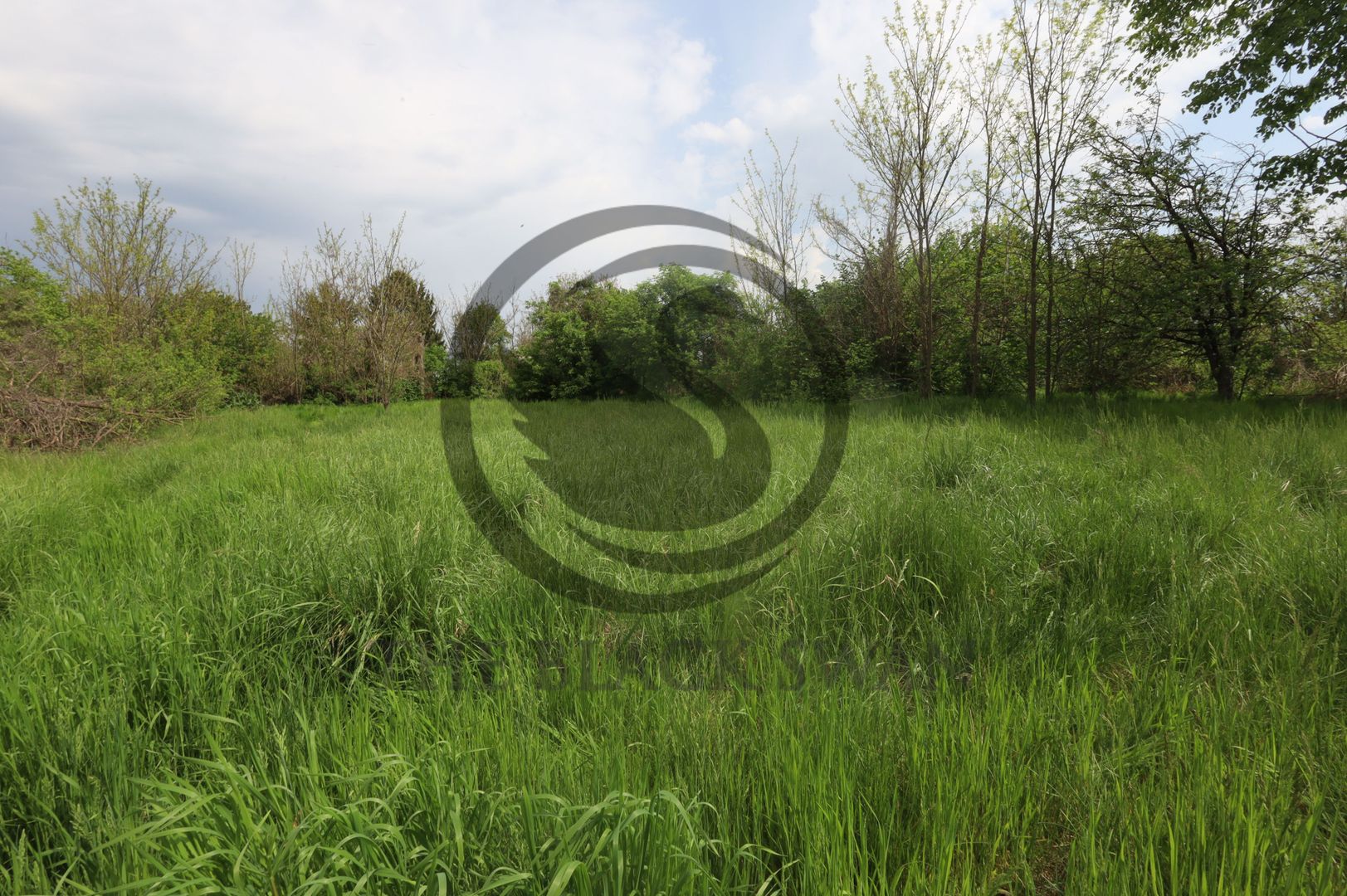 Teren si casa de vanzare | Habud - Sirna, Prahova | Comision 0% - Poză 11