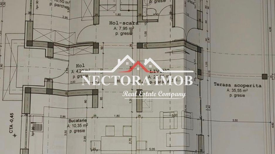 NECTORA IMOB-Casa 4 camere, Livada de Bihor, 710 mp teren, la rosu - Poză 5