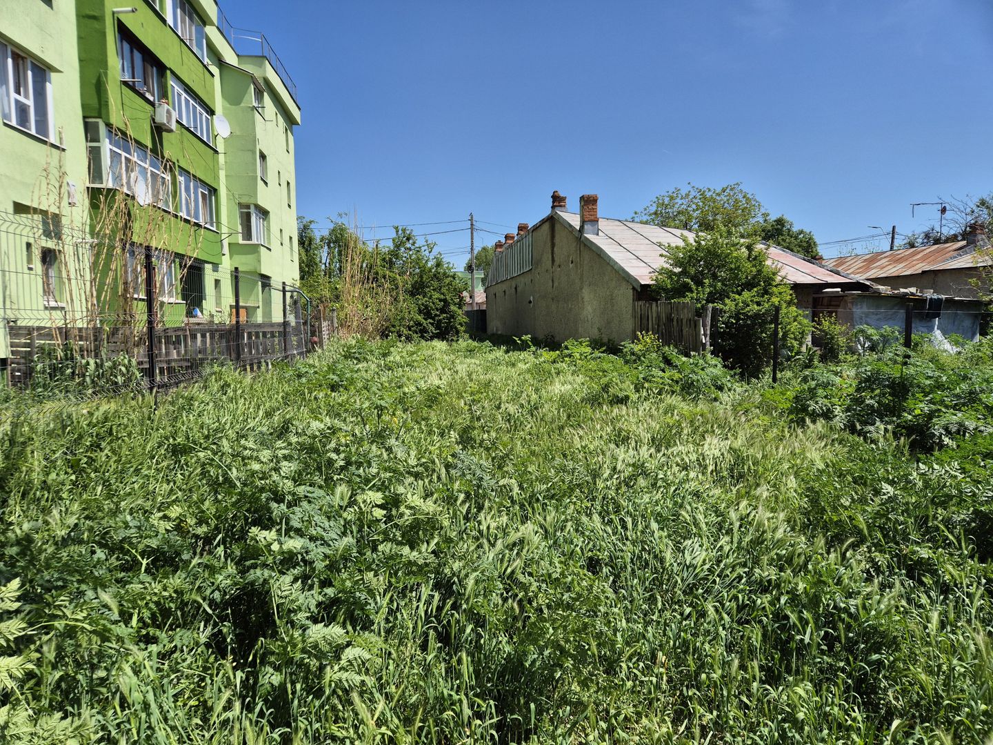 Teren intravilan 2658 mp - 1 Decembrie, Ilfov - Poză 3