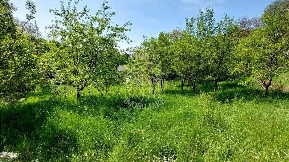 Cabana/ Casa Vacanta-4 camere-gradina 7400 mp- Mijlocenii Bargaului - Poză 5