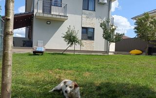 Casa individuala la cheie, Jucu - Poză 1