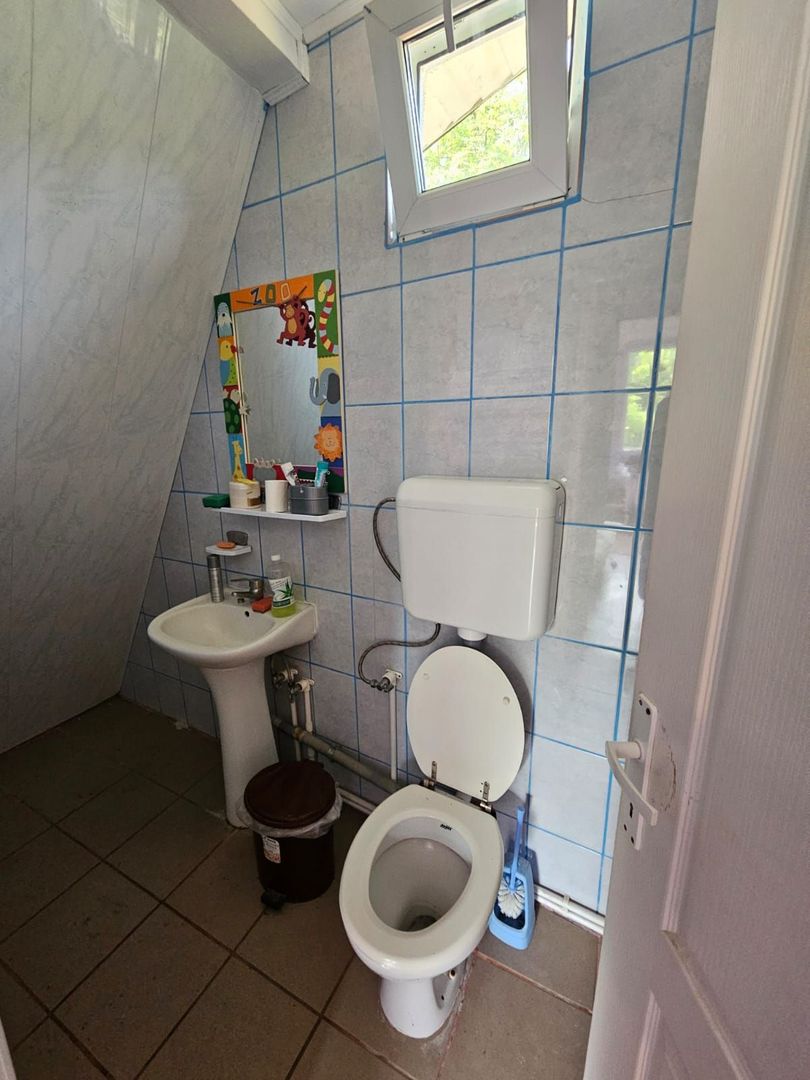 Casă de vânzare la liziera pădurii – Comuna Bogați, Argeș - Poză 5