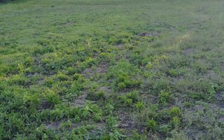 Teren intravilan-40 ari, parcelabil, loc. Slatinita - Poză 8