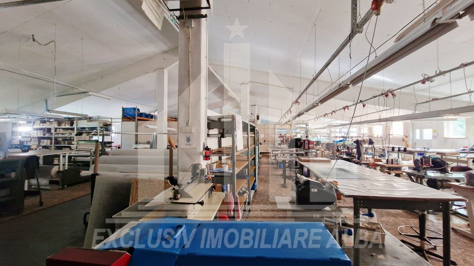 Spatiu industrial de inchiriat in Sebes - Poză 5