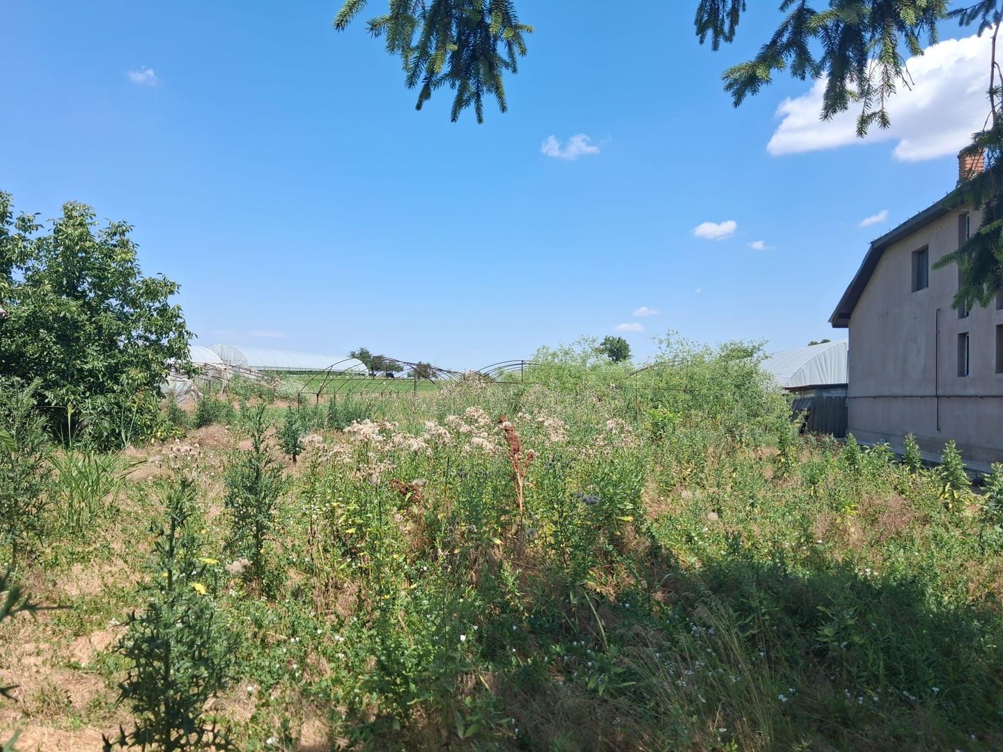 Vânzare teren Ilfov -Vidra | 3524 mp - Poză 1