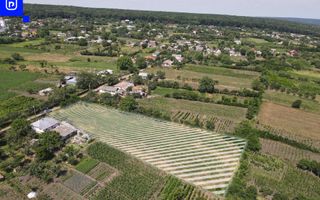 Teren - Ionășeni | BOTOȘANI | 3.285mp - Poză 3