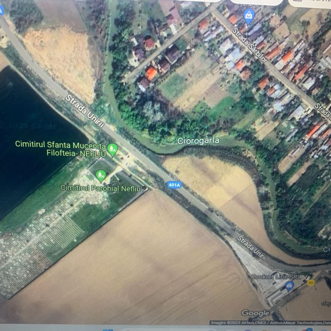 Teren intravilan situat in Magurele -Varteju 10.000 mp 35 euro - Poză 2