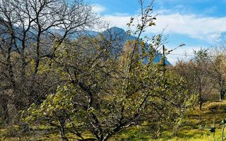 Teren Bran / Predelut cu priveliste 1840mp - Poză 12