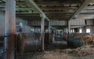 Teren intravilan I 70.000 mp I Front Stradal I Apoldu de Sus - Poză 8