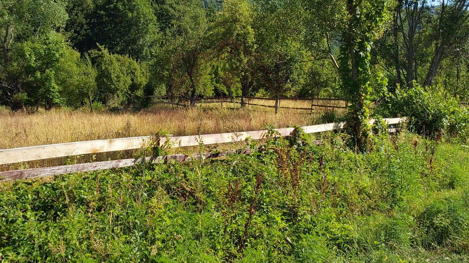 TEREN INTRAVILAN ZĂVOI\ZONA VALEA BISTREI, JUD.C-S - Poză 6