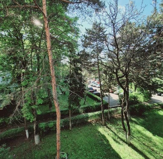 Apartament renovat, balcon mare, zonă verde liniștită, Iulius Mall. - Poză 11