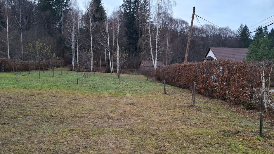 Teren intravilan, livada, langa padure,  pe Valea Avrigului - Sibiu - Poză 4