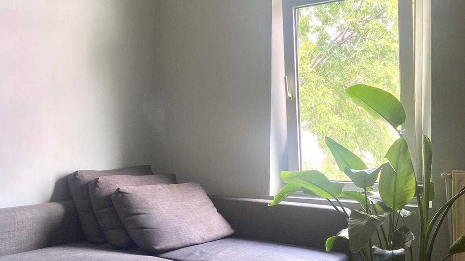 Casa cu curte Domenii/Cireșarii - Poză 4