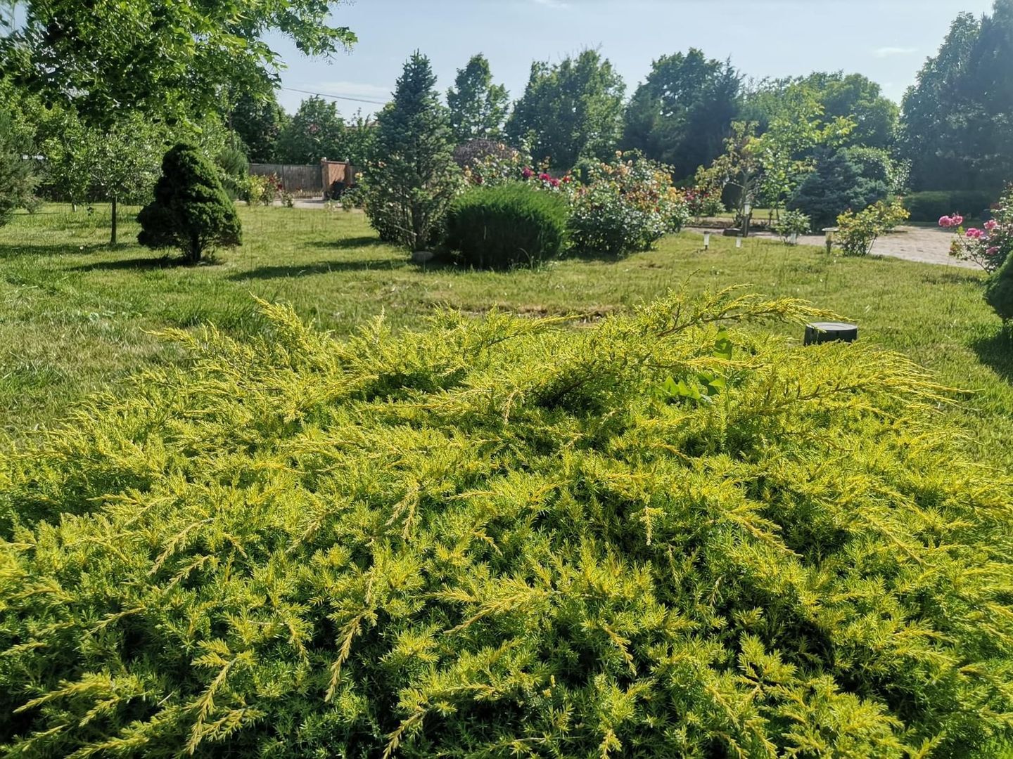 Vilă de lux mobilata/utilata cu terasa+foisor, garaj,gradina si livada - Poză 13