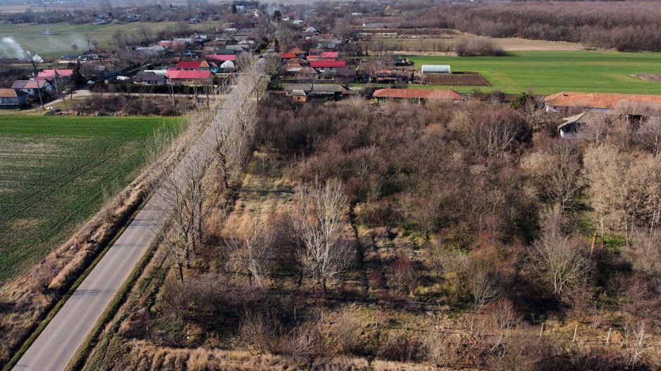 Ferma si livada de meri in judetul Ilfov - Poză 12