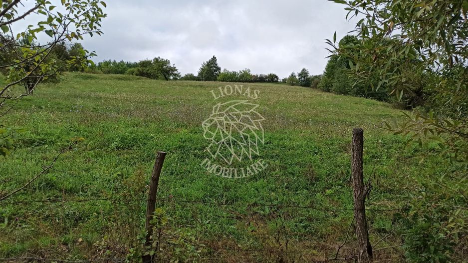 Teren intravilan 12600 mp-utilitati-ideal case, investitie-Livezile - Poză 3