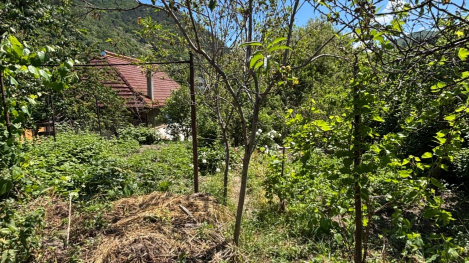 Casa de Vanzare in zona Suseni, in Cugir - Poză 10
