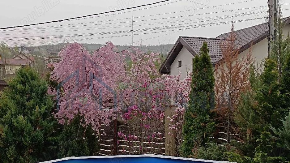 vilă Bârnova, Bucium, Saună, Piscină - Poză 3