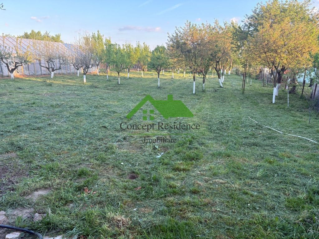 Casă 120 mp + teren 25 ari – Bușag, Tăuții Măgherăuș - Poză 10
