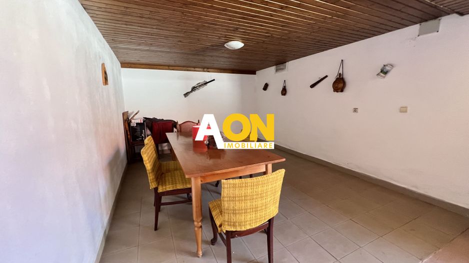 Casa de vanzare pretabila 2 familii, garaj, livada, comuna Pianu - Poză 22