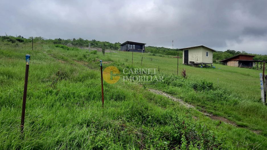 🌳TEREN INTRAVILAN CHIPEREȘTI 440 MP - 12.000 EURO 🏡 - Poză 8