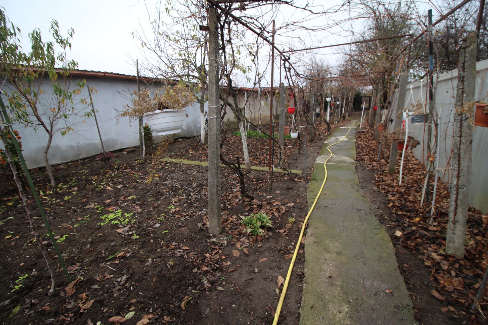 TEREN GENEROS CU CASA - Poză 3