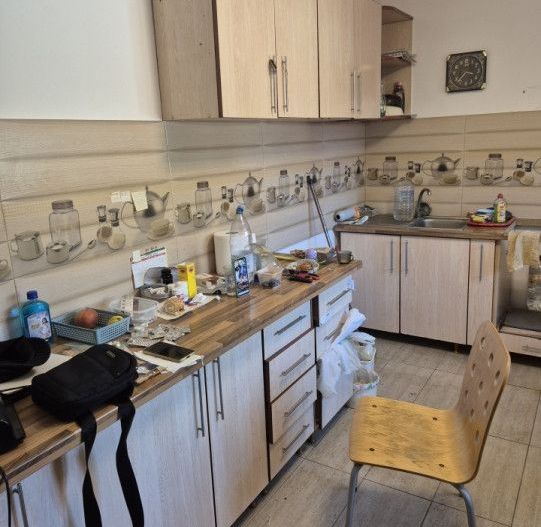 Casa individuala parter, Domnesti, zona Craitei-Foisorului. Investitie buna. - Poză 10