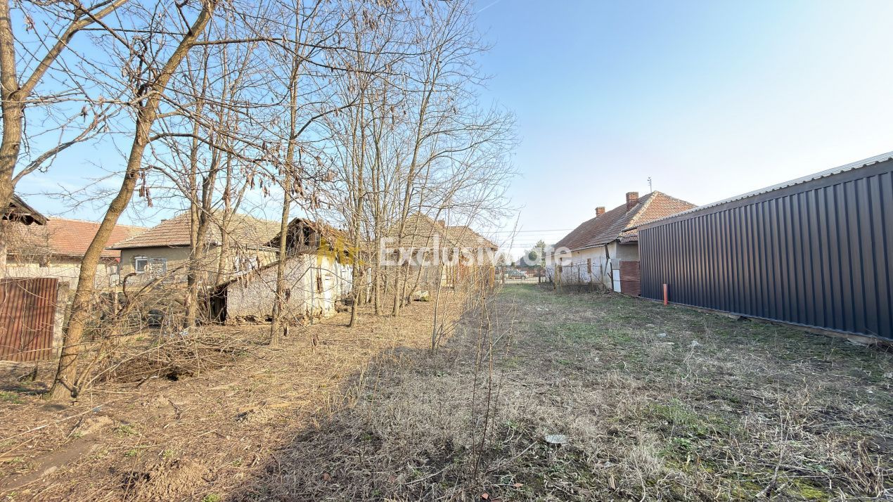 Casă 4 camere, Teren 2.948 mp Tiream SM - Comision 0% cumpărător - Poză 8
