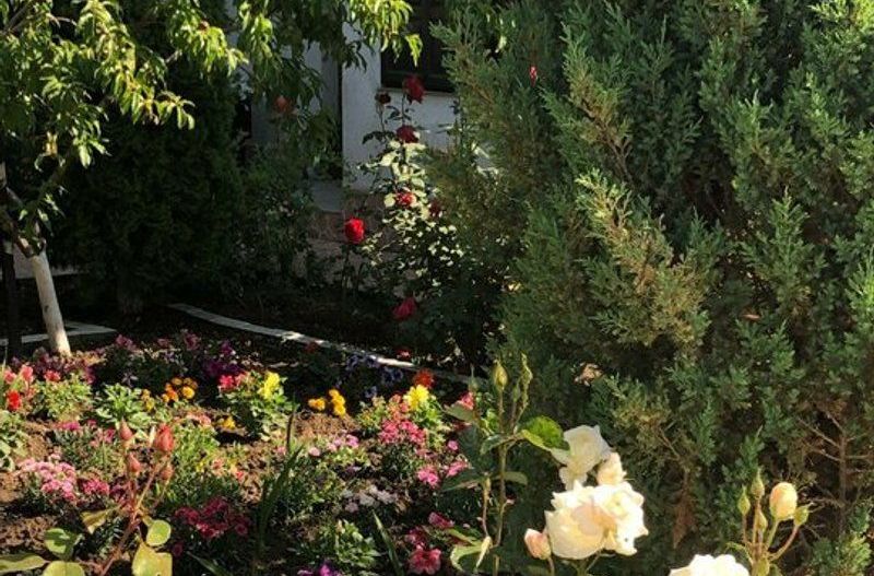 Vila - parter + mansarda -   Sendreni,  jud. Galati - Poză 6