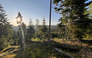 50 hectare teren | Moldova-Sulita | Potential turistic si agricol - Poză 12