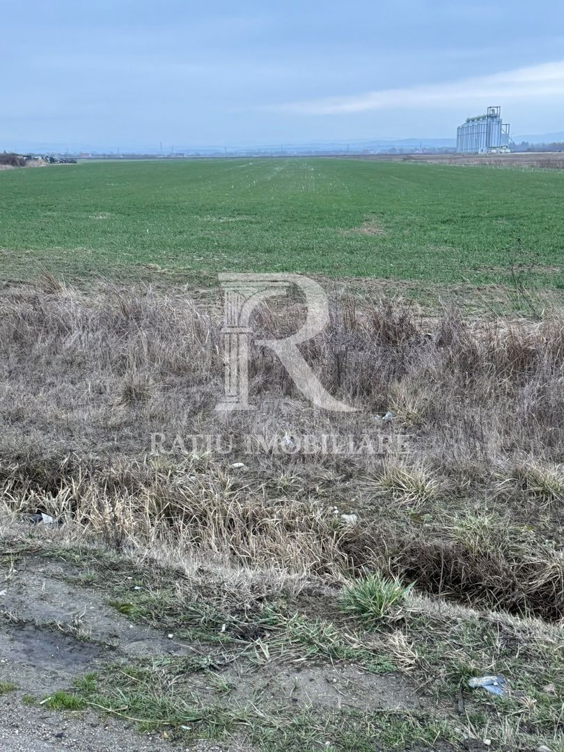Teren de inchiriat | 20,088 ha | Sacadat | Bihor - Poză 1