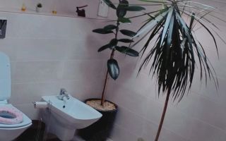 Duplex de vânzare în zona Horpaz, 120 mp, 4 camere, 2 băi, la 6 km de centrul orașului - Poză 8