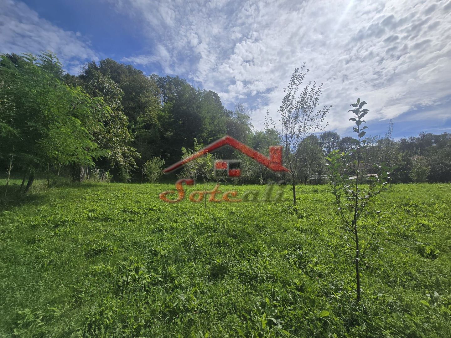 Oportunitate de investiție în Breaza – teren intravilan de 3.591 mp - Poză 4