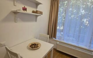 Garsoniera- Tineretului - Poză 3