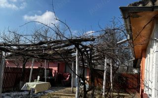 Casa locuibila, Hermeziu, 39 km de Iasi, racordata la apa - Poză 2