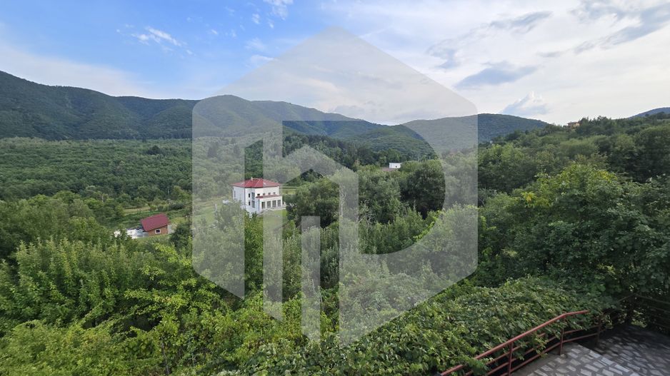 Casa individuala 4 camere teren 3825 mp Cisnadioara - Poză 5