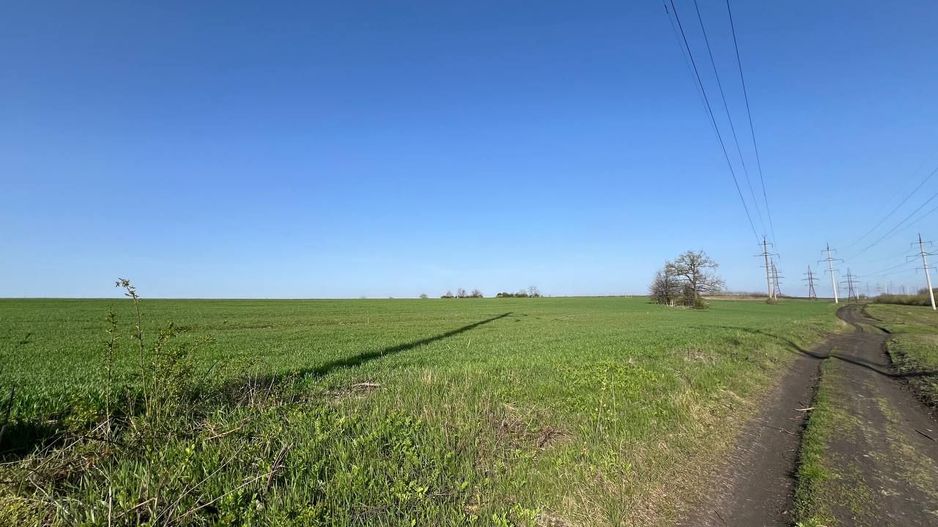 Teren 41,49 ari Ghidighici | deschidere 122 m | agricol | investiție - Poză 15