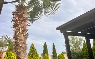 Casa individuala Dumbravita - Poză 5