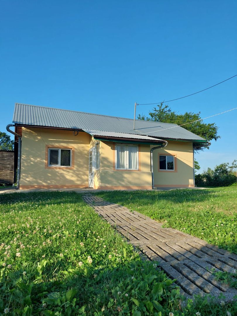 Vanzare casa deosebita, Suseni, Arges - Poză 13