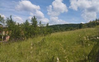 Teren 40.000 mp-ideal investitie-Slatinita - Poză 1