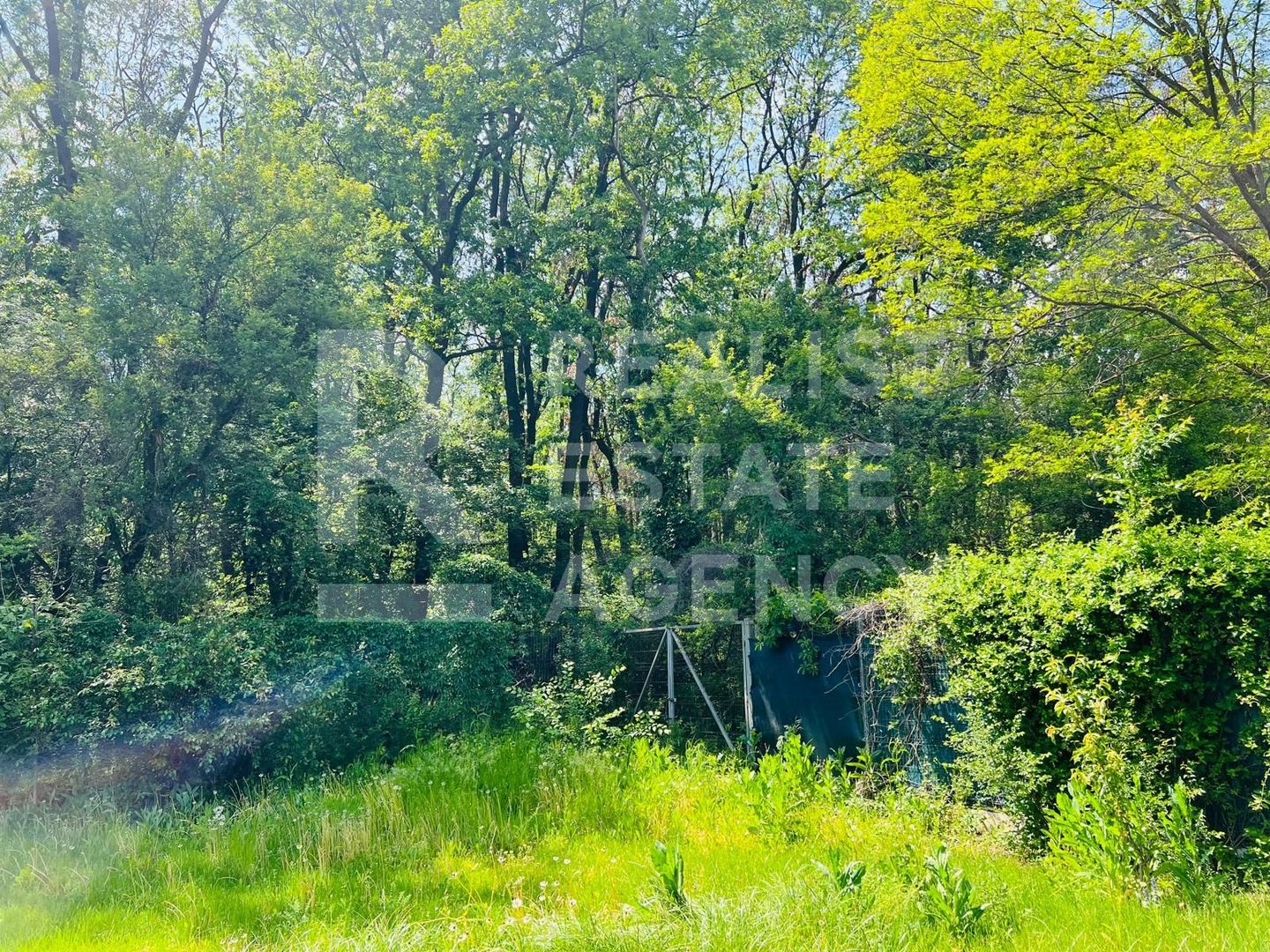 Vânzare, vilă, 6 camere, loc. Corbeanca, București - Poză 21