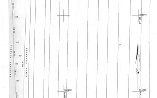 Teren extravilan 10.000 mp - Lucianca - Butimanu - Poză 2