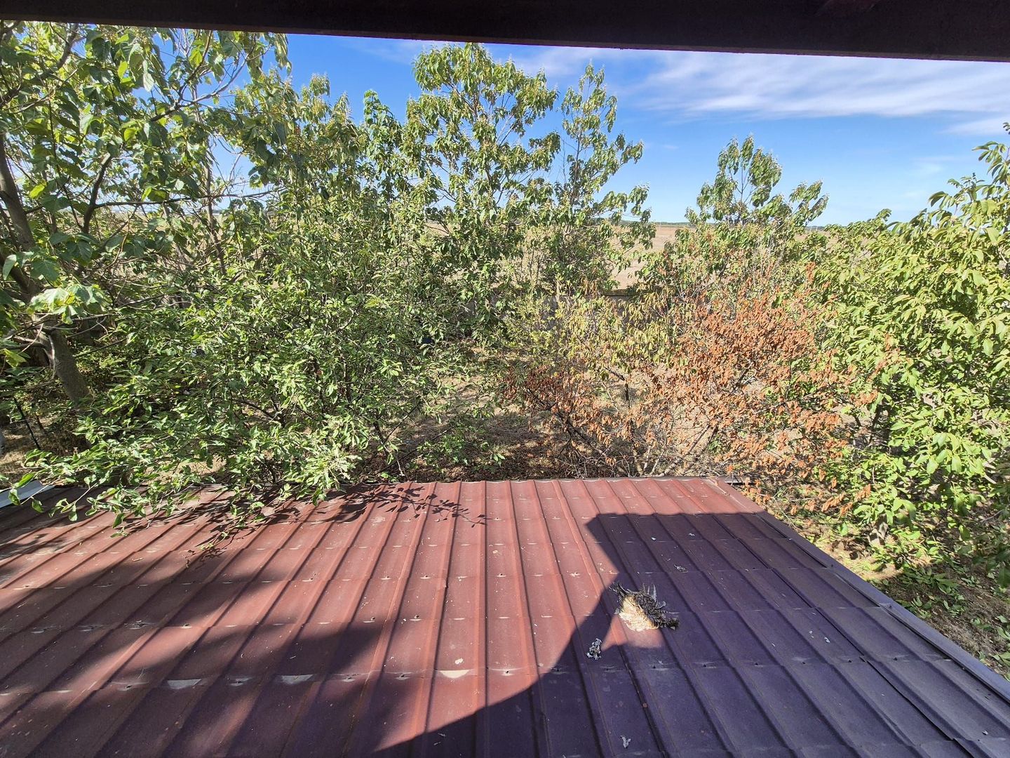 Casa P+1 din lemn - Mihailesti - Poză 19