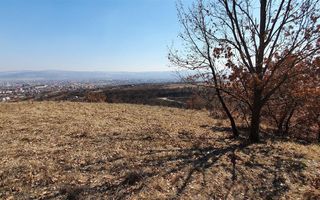 Teren ideal pentru cabana 4165 mp langa padure zona Valea Popii - Poză 3