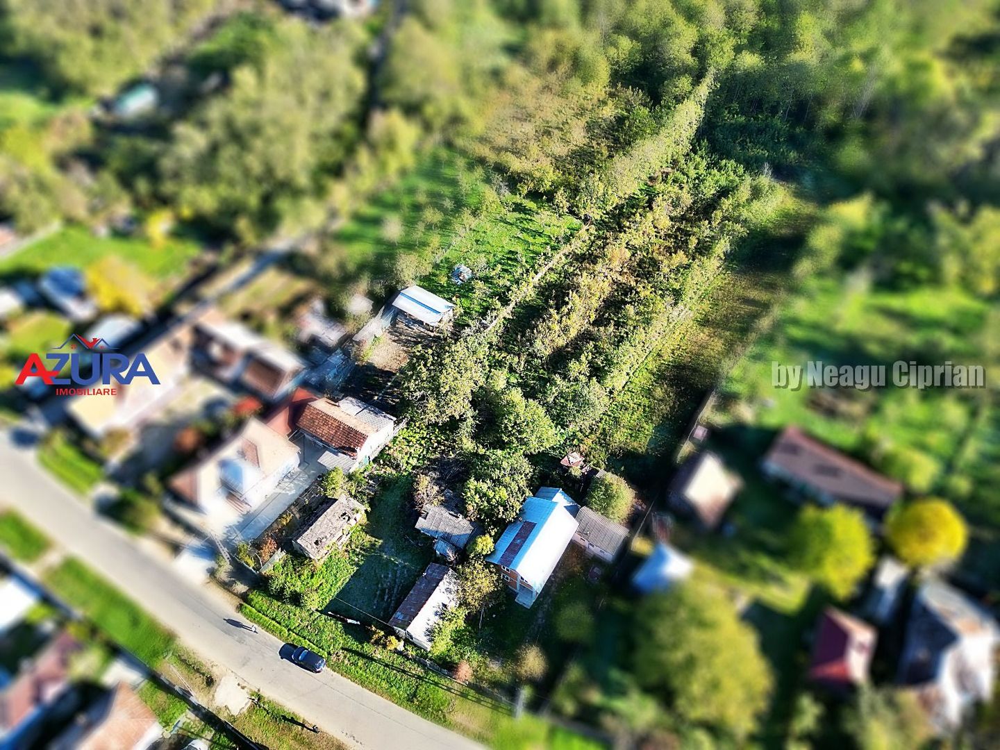 Vanzare teren 3300 mp, intravilan, Albota - Mares - Poză 3