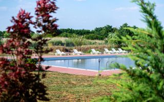 Sala de evenimente cu  piscina si foisor Biled COMISION 0 % CUMPARATOR - Poză 16