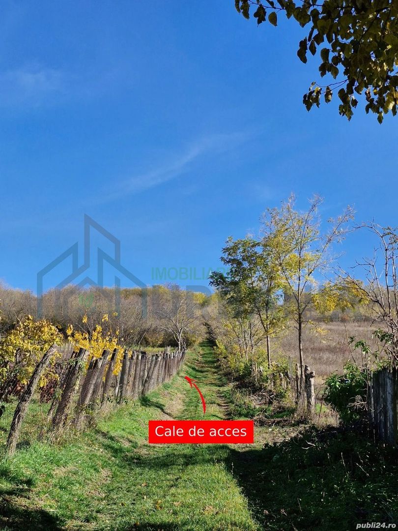 Teren intravilan 1308 mp Rediu | 9 min (5.8 km) Copou 9 min (5.8 km) Pacurari - Poză 2