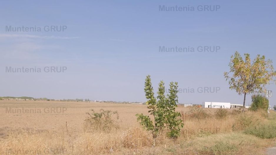 Mihailesti, vav de piscina Davinot, 57.000 mp. teren cu desch. la DN6 - Poză 8