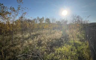 Teren intravilan de vanzare | 12.650 mp | Ghirdoveni | Comision 0% - Poză 11