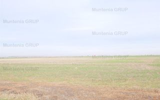 Unicat ! A3 Gherghita - 27 Ha. teren intravilan cu PUZ aprobat - Poză 9